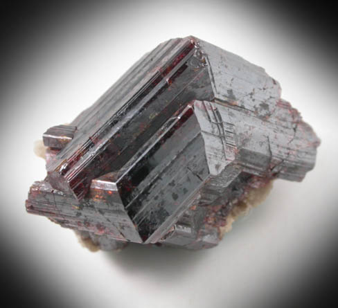 Rutile (Knee-twinned crystals) from Lac McGregor, Outaouais, Qubec, Canada