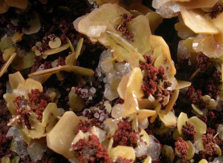 Wulfenite with Limonite from Defiance Mine, Courtland-Gleeson District, Cochise County, Arizona