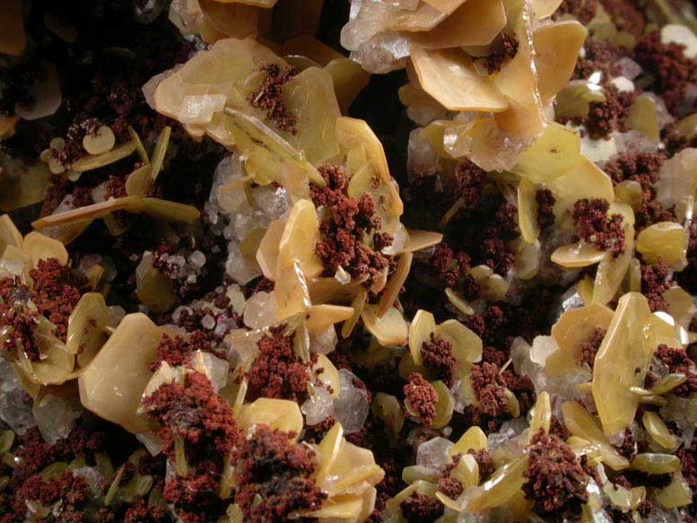 Wulfenite with Limonite from Defiance Mine, Courtland-Gleeson District, Cochise County, Arizona