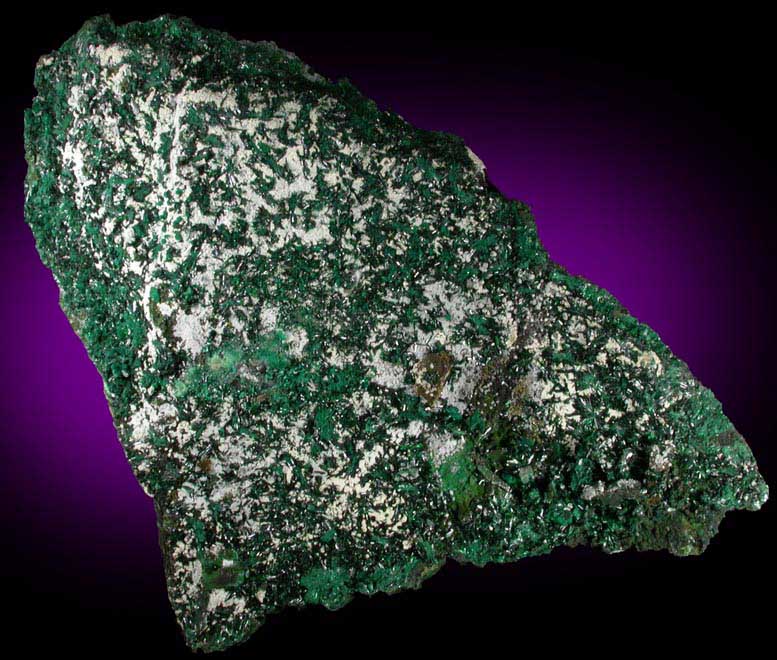 Atacamite with Halloysite from Mina la Farola, Copiapo, Atacama Desert, Chile (Type Locality for Atacamite)