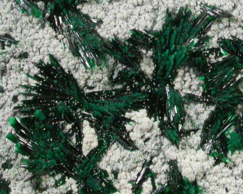 Atacamite with Halloysite from Mina la Farola, Copiapo, Atacama Desert, Chile (Type Locality for Atacamite)