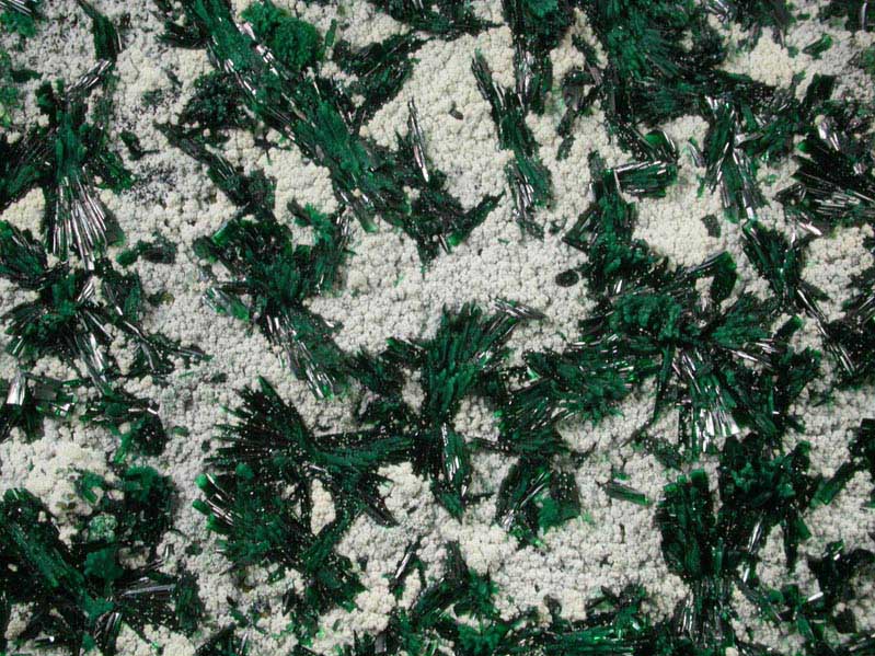 Atacamite with Halloysite from Mina la Farola, Copiapo, Atacama Desert, Chile (Type Locality for Atacamite)