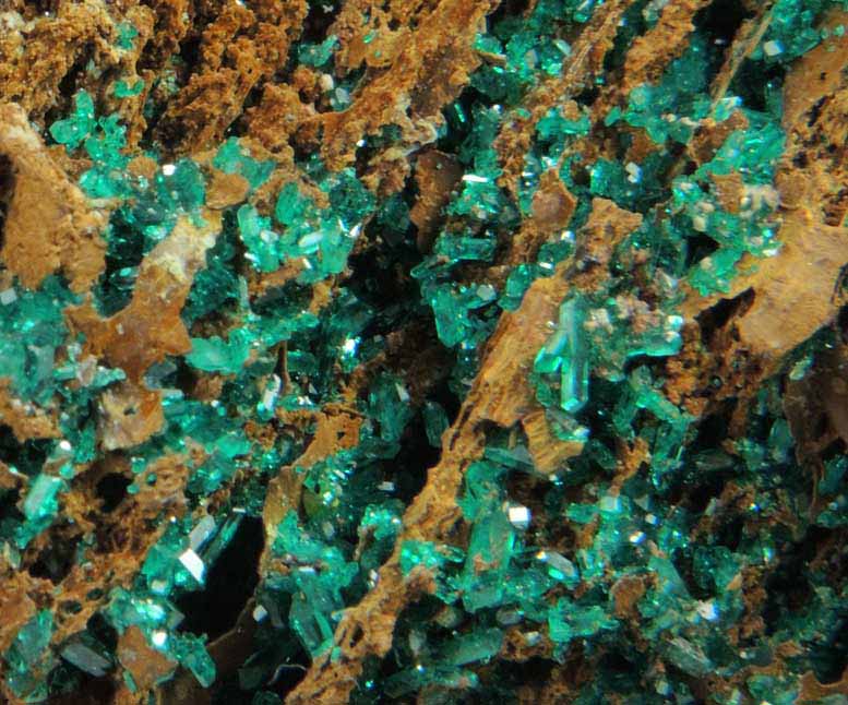 Dioptase from Kaokoveld, Kunene Region, Namibia