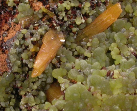 Mimetite and Wulfenite from Mina Ojuela, Mapimi, Durango, Mexico