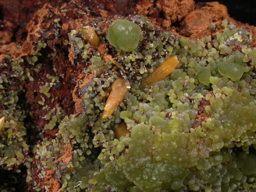 Mimetite and Wulfenite from Mina Ojuela, Mapimi, Durango, Mexico