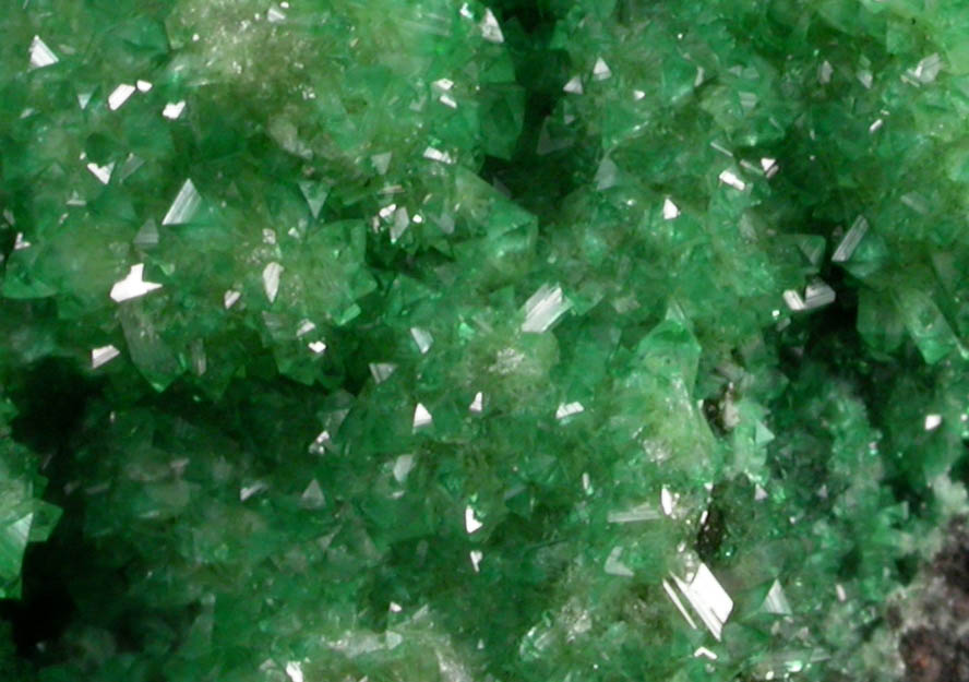 Adamite var. Cuproadamite from Tsumeb Mine, Otavi-Bergland District, Oshikoto, Namibia