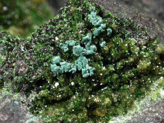 Willemite, Conichalcite, Rosasite from Tsumeb Mine, Otavi-Bergland District, Oshikoto, Namibia