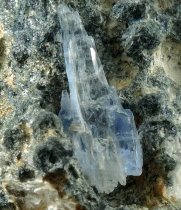 Jeremejevite on Foitite-Elbaite Tourmaline from Ameib Farm, Usakos, NE of Swakopmund, Erongo Region, Namibia