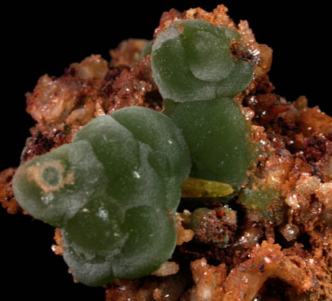 Mimetite and Wulfenite from Mina Ojuela, Mapimi, Durango, Mexico
