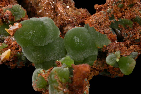 Mimetite with Wulfenite from Mina Ojuela, Mapimi, Durango, Mexico