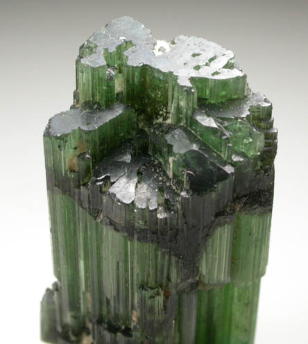 Elbaite Tourmaline from Minas Gerais, Brazil