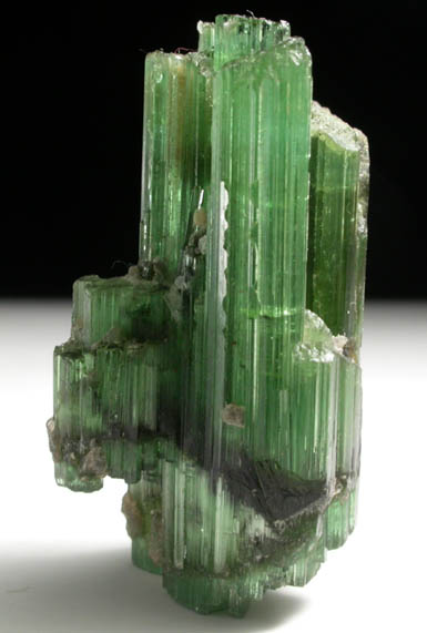 Elbaite Tourmaline from Minas Gerais, Brazil