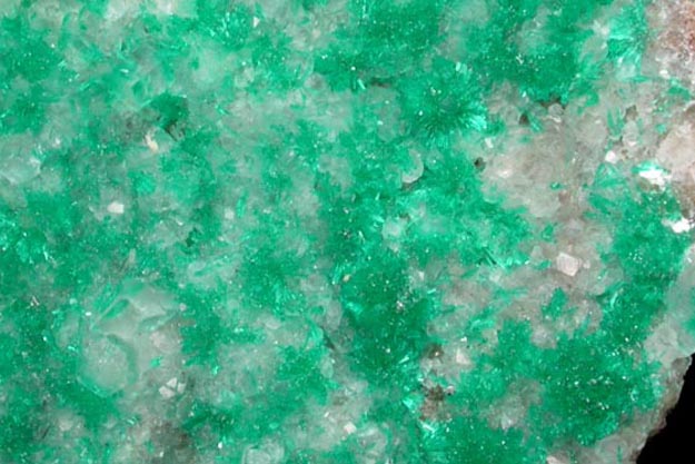 Dioptase on Calcite from Christmas Mine, Banner District, Gila County, Arizona