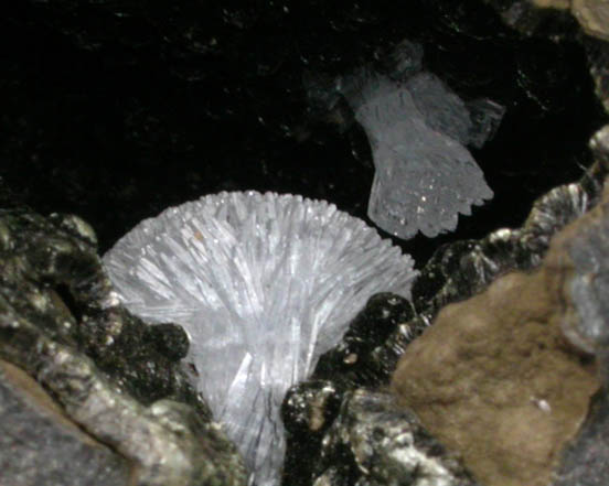 Epistilbite with Julgoldite from Jalgaon, Maharashtra, India