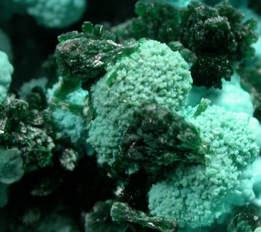 Malachite on Chrysocolla from L'Etoile du Congo Mine, Lubumbashi, Katanga Copperbelt, Haut-Katanga Province, Democratic Republic of the Congo