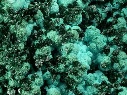 Malachite on Chrysocolla from L'Etoile du Congo Mine, Lubumbashi, Katanga Copperbelt, Haut-Katanga Province, Democratic Republic of the Congo