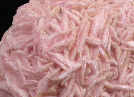 Rhodochrosite from Capillitas Mine, Catamarca, Argentina