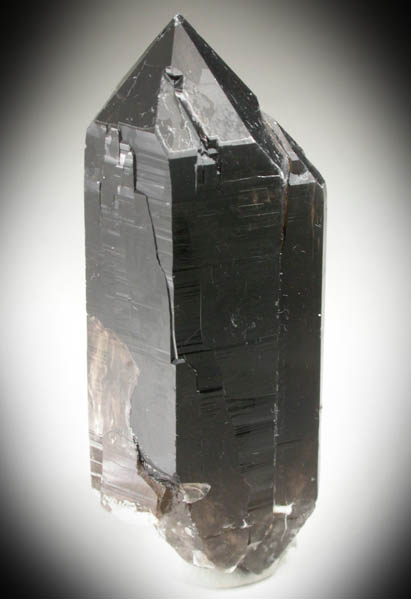 Quartz var. Smoky Quartz (Dauphin-law twinned) from Moat Mountain, west of North Conway, Carroll County, New Hampshire