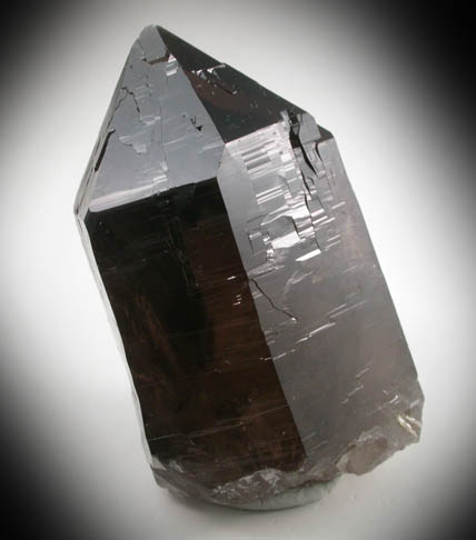 Quartz var. Smoky Quartz (Dauphiné-law twinned) with Muscovite from Moat Mountain, west of North Conway, Carroll County, New Hampshire