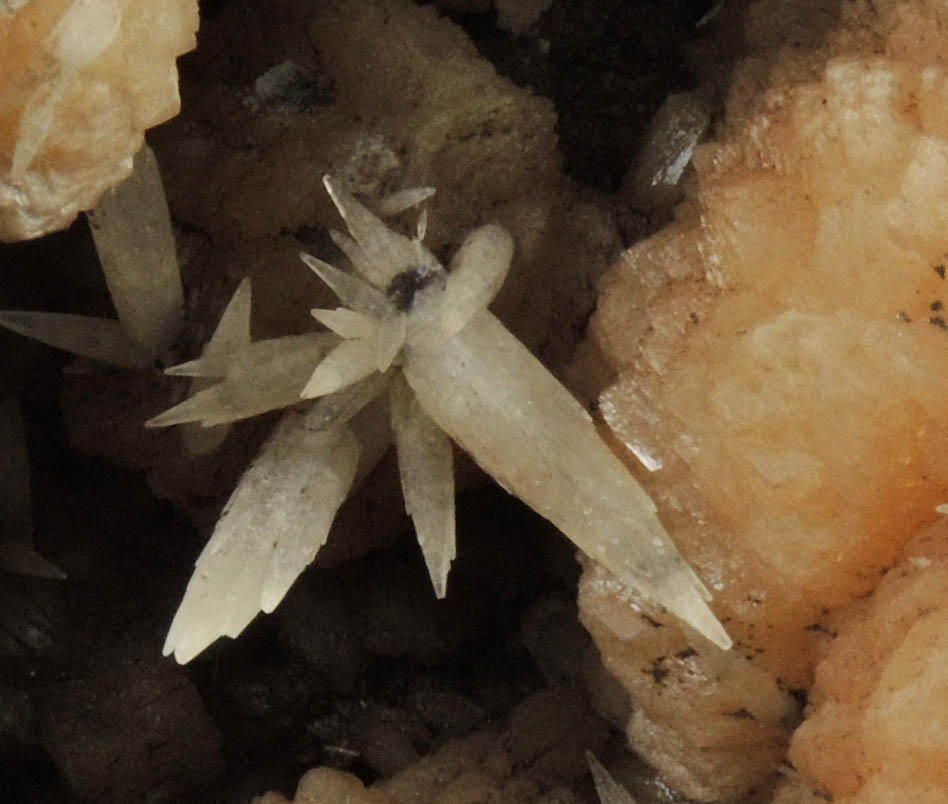 Stilbite, Aragonite, Heulandite from Little Falls-Great Notch-Upper Montclair area, Essex County, New Jersey