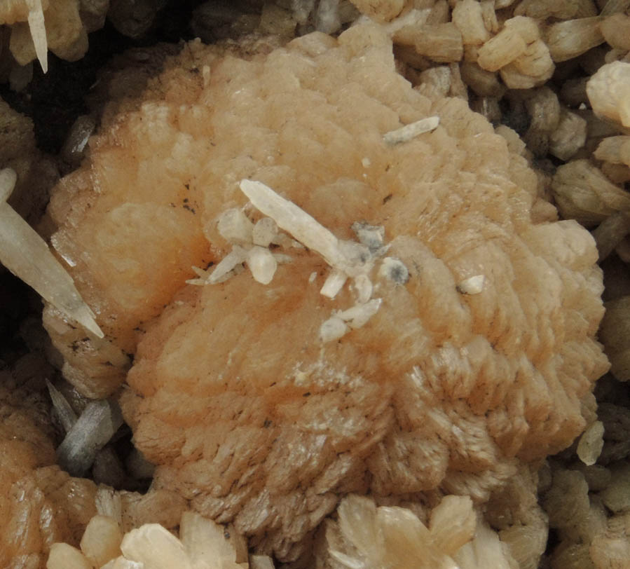 Stilbite, Aragonite, Heulandite from Little Falls-Great Notch-Upper Montclair area, Essex County, New Jersey