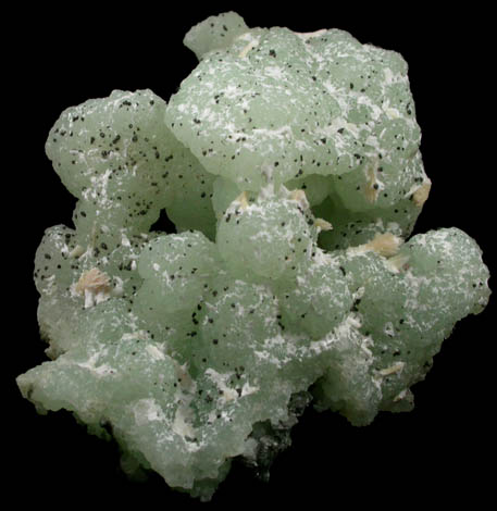 Prehnite pseudomorphs after Glauberite (snake-head) with Laumontite from New Street Quarry, Paterson, Passaic County, New Jersey