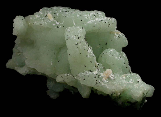 Prehnite pseudomorphs after Glauberite (snake-head) with Laumontite from New Street Quarry, Paterson, Passaic County, New Jersey