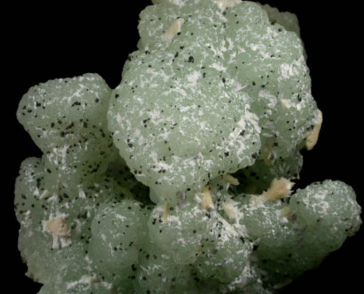 Prehnite pseudomorphs after Glauberite (snake-head) with Laumontite from New Street Quarry, Paterson, Passaic County, New Jersey