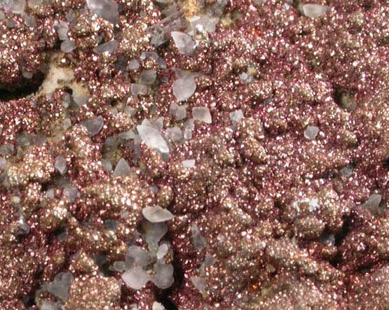 Celestine with Pyrite and Calcite from Clay Center, Ottawa County, Ohio