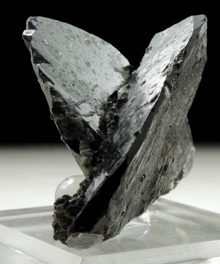 Ferberite (twinned crystals) from Rosario Mine, Cerro Tazna, Potos Department, Bolivia