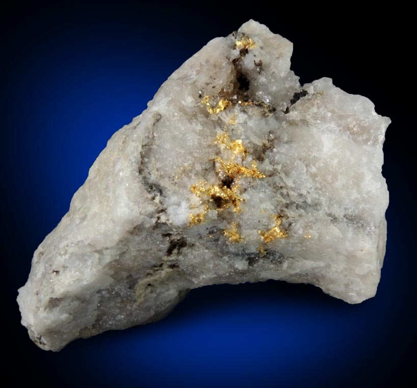 Gold in Quartz from Lecanvey Prospect, B Vein, Croagh Patrick, County Mayo, Ireland