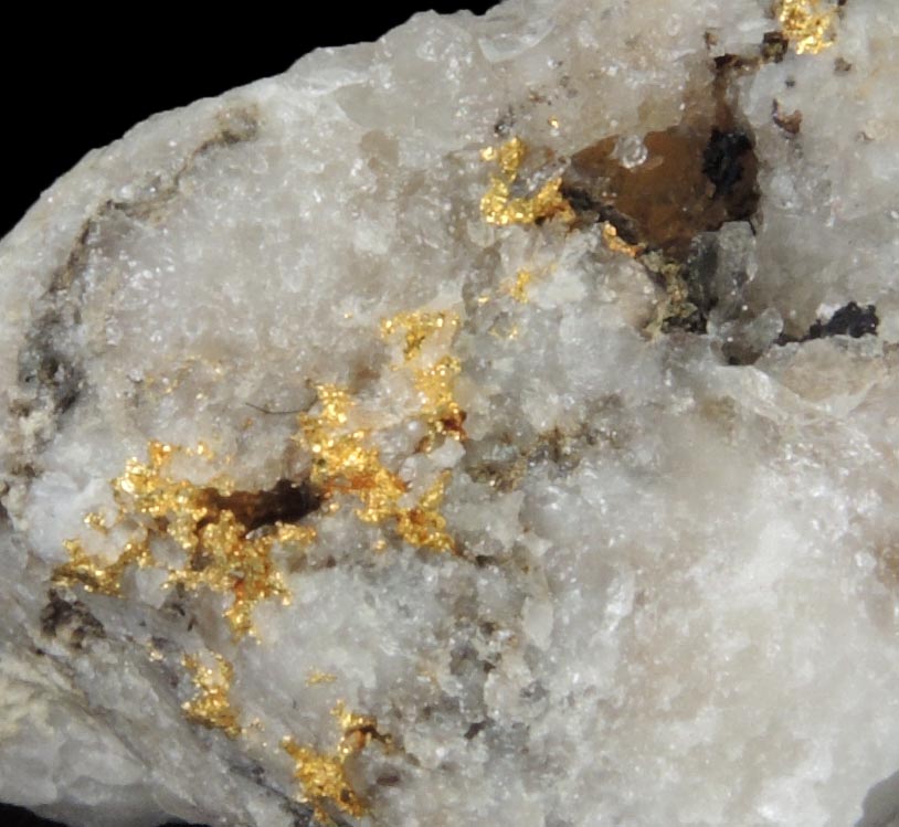 Gold in Quartz from Lecanvey Prospect, B Vein, Croagh Patrick, County Mayo, Ireland