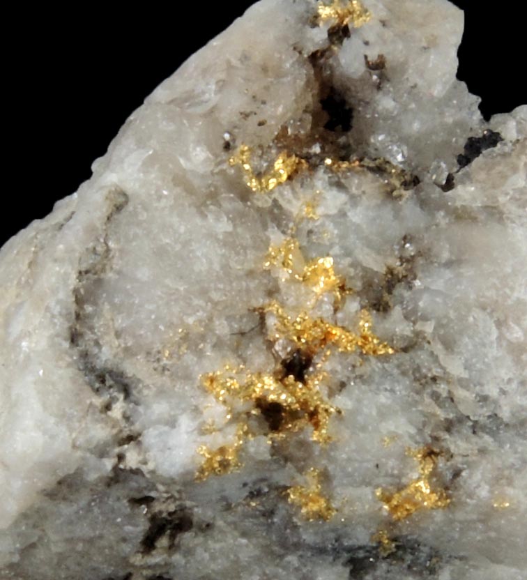 Gold in Quartz from Lecanvey Prospect, B Vein, Croagh Patrick, County Mayo, Ireland