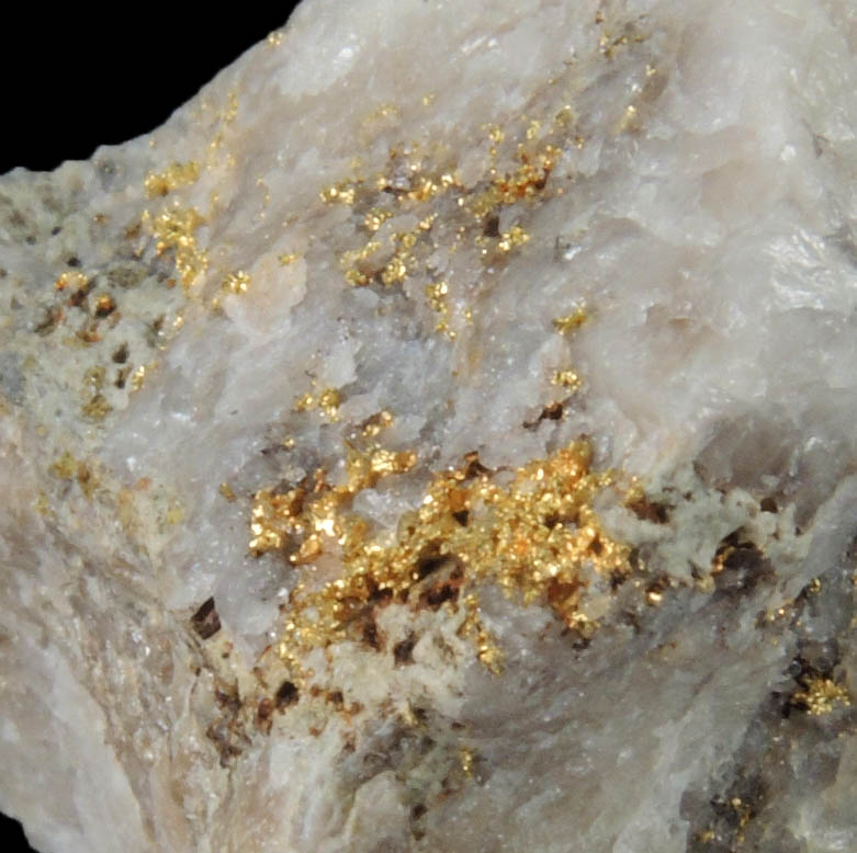 Gold in Quartz from Lecanvey Prospect, B Vein, Croagh Patrick, County Mayo, Ireland