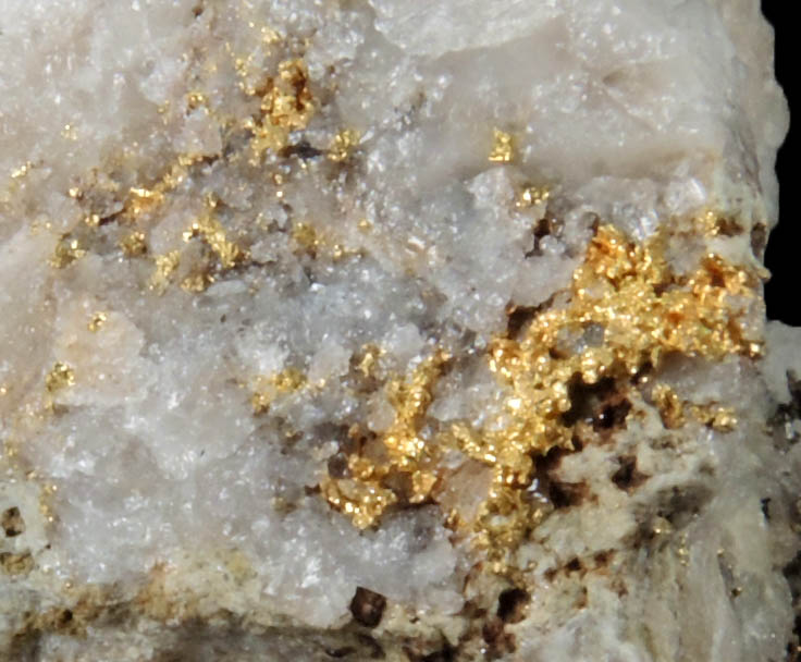 Gold in Quartz from Lecanvey Prospect, B Vein, Croagh Patrick, County Mayo, Ireland