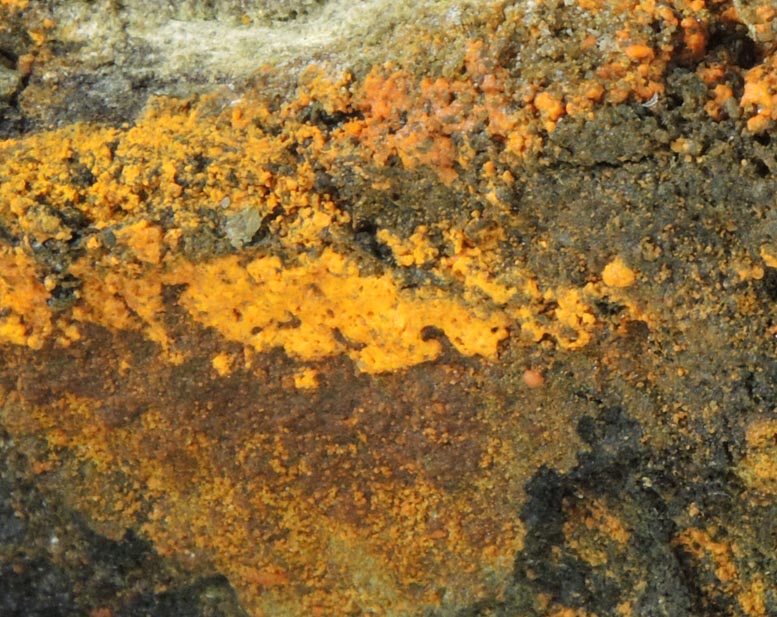 Hummerite with Carnotite from Hummer Mine, Paradox Valley, Montrose County, Colorado (Type Locality for Hummerite)