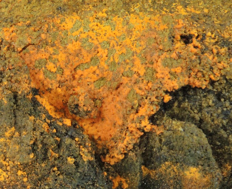 Hummerite with Carnotite from Hummer Mine, Paradox Valley, Montrose County, Colorado (Type Locality for Hummerite)