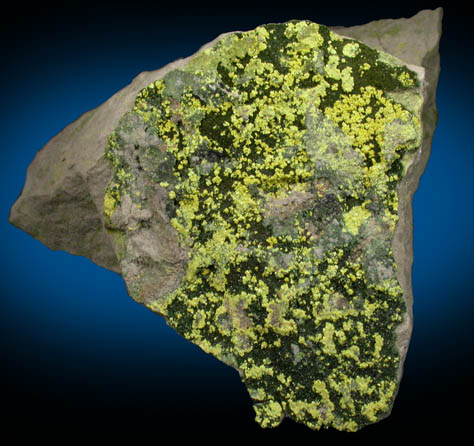 Metatyuyamunite-Tyuyamunite with Tangeite from Ridenaur Mine, Coconino County, Arizona