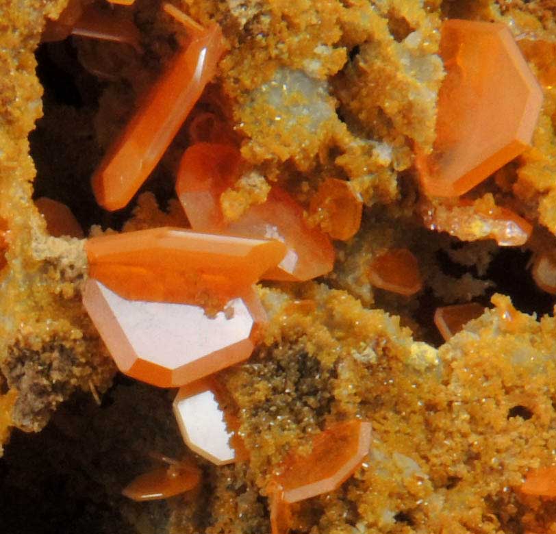 Wulfenite and Mimetite from Harrington-Hickory Mine, Beaver County, Utah