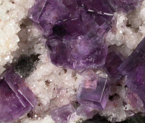 Fluorite on Quartz from Berbes District, Ribadesella, Asturias, Spain