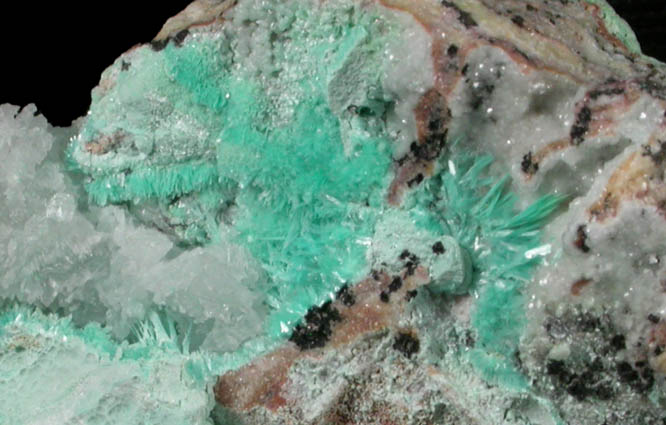 Aurichalcite from Mohawk Mine, Helvetia District, Pima County, Arizona