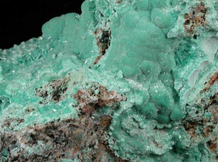 Aurichalcite from Mohawk Mine, Helvetia District, Pima County, Arizona