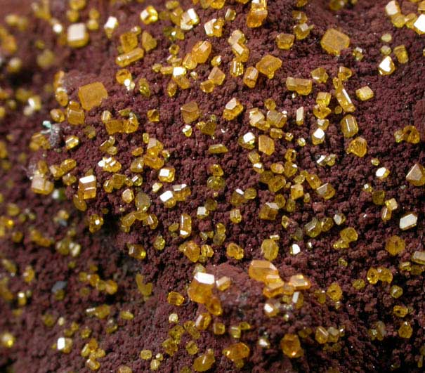 Wulfenite from Whim Creek Mine, east of Roebourne, Western Australia, Australia