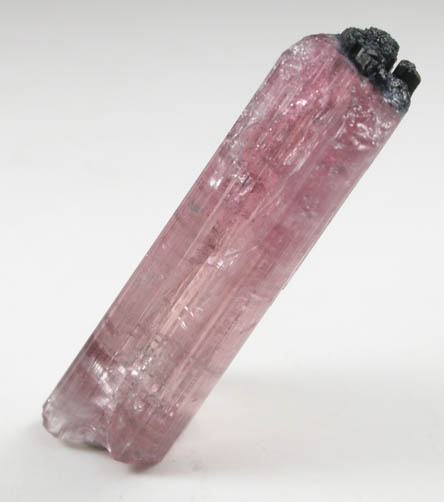 Elbaite var. Rubellite Tourmaline from Mount Mica Quarry, Paris, Oxford County, Maine