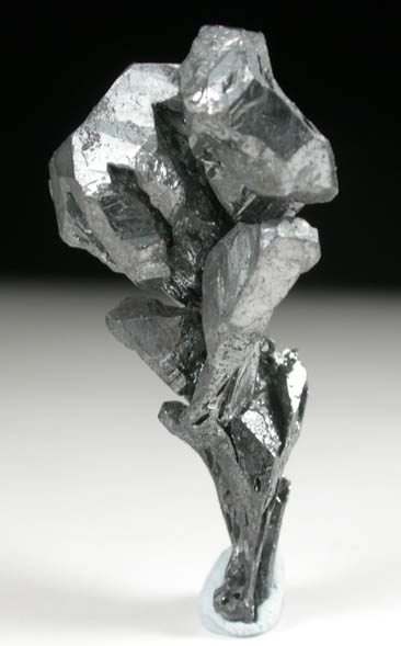 Acanthite pseudomorphs after Argentite from San Juan de Rayas Mine, Guanajuato, Mexico