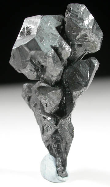 Acanthite pseudomorphs after Argentite from San Juan de Rayas Mine, Guanajuato, Mexico