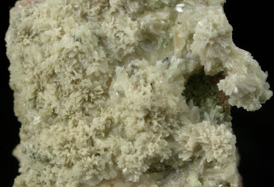 Dickthomssenite from Vanadium Queen Mine, San Juan County, Utah