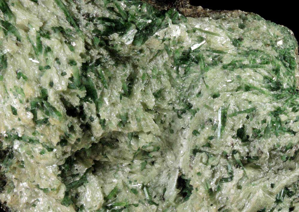 Actinolite and Talc on Clinochlore from Wenatchee Ridge, 16 km. northwest of Merritt, Chelan County, Washington