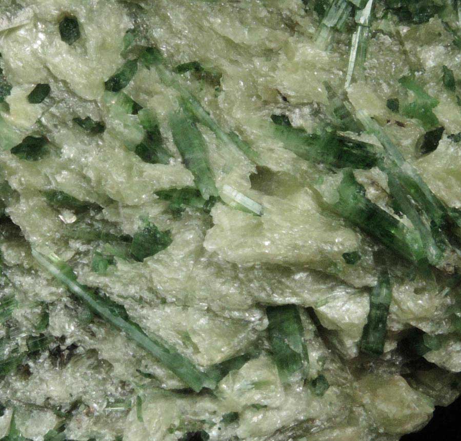 Actinolite and Talc on Clinochlore from Wenatchee Ridge, 16 km. northwest of Merritt, Chelan County, Washington