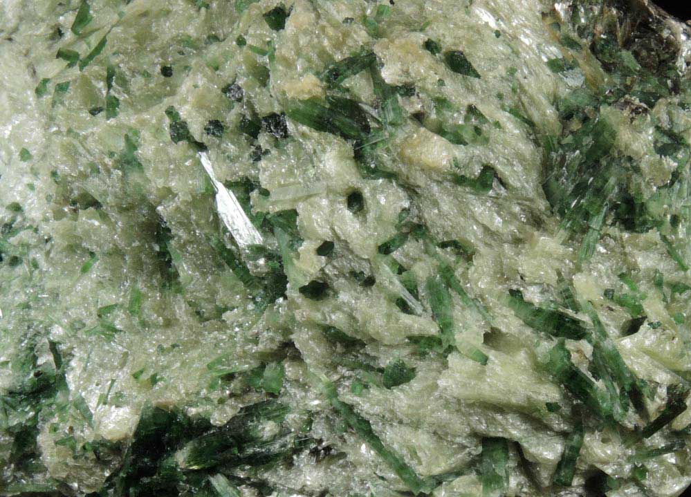 Actinolite and Talc on Clinochlore from Wenatchee Ridge, 16 km. northwest of Merritt, Chelan County, Washington